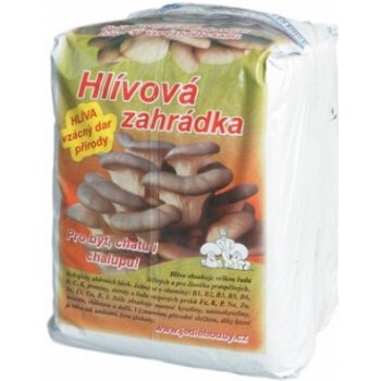 Hlívová zahrádka, hlíva ústřičná 6kg