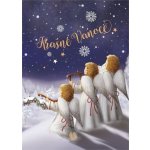 Albi Hrací přání do obálky K svatbě Novomanželé v srdíčku Báječná ženská Michal Tučný 14,8 x 21 cm – Hledejceny.cz