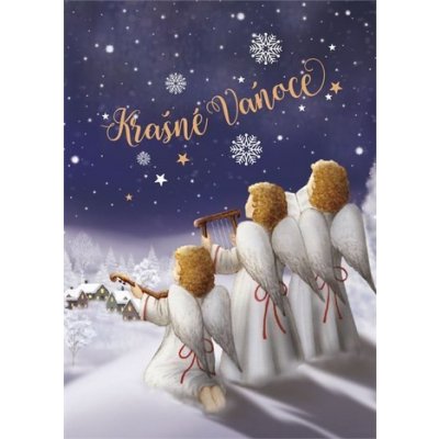 Albi Hrací přání do obálky K svatbě Novomanželé v srdíčku Báječná ženská Michal Tučný 14,8 x 21 cm – Hledejceny.cz