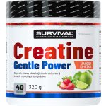 Survival Creatine Monohydrate Gentle Power 320 g – Zbozi.Blesk.cz