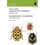Brouci čeledi slunéčkovití Coccinellidae střední EvropyLadybird beetles Coccinellidae of Central Europe - Nedvěd Oldřich – Sleviste.cz