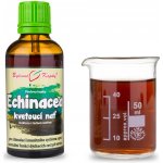 Bylinné kapky ECHINACEA KVETOUCÍ NAŤ KAPKY tinktura 50 ml – Hledejceny.cz