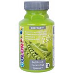 Kittfort Color Line 2v1 tekutá tónovací a malířská barva 12 Hrášková 350 g – HobbyKompas.cz