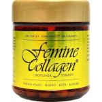 Nutristar Femine Collagen 100 tablet – Hledejceny.cz
