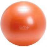 Gymnic plus 65 cm – Zboží Dáma