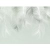 Tapety AG design FTNS-1250 vliesová fototapeta Feather Dream rozměry 360 x 270 cm