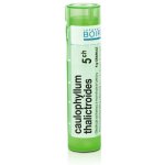 CAULOPHYLLUM THALICTROIDES POR 5CH GRA 1X4G – Hledejceny.cz