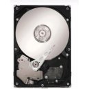 Seagate Constellation ES.2 3TB, 64MB, 7200rpm, ST33000650SS