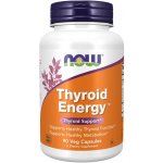 Now Foods Foods Thyroid Energy Štítná žláza 90 kapslí – Hledejceny.cz