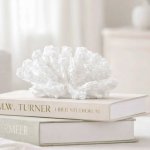 HOMLA Stojící dekorace Korál/ Oceánský vánek – Hledejceny.cz