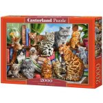 Castorland Kočky v domě 2000 dílků – Zboží Mobilmania