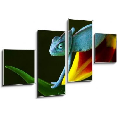 Obraz 4D čtyřdílný - 100 x 60 cm - cham leon chameleon lizard cizokrajná věc – Zboží Mobilmania