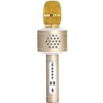 Teddies Mikrofon karaoke Bluetooth zlatý – Hledejceny.cz