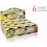 Bartek Candles Green Tea Matcha Latte 115 g – Hledejceny.cz