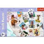 TREFL Fotky z dovolené 300 dílků – Hledejceny.cz