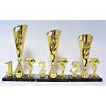 Fotbal poháry 390-P405.01 – Zboží Dáma