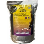 Healthy Pond Krmivo pro jesetery 3 mm 5 l – Hledejceny.cz