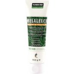 Melaleuca Essential Oil Tooth Polish Fresh Mint zubní pasta bez fluoridu 108 g – Hledejceny.cz