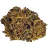 Květ konopí Drskunk Jack Herer 10%HHC-PO + 6%10OH-HHC 10%CBN 0,3 THC 10 g