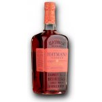 Hayman's Sloe Gin 26% 0,7 l (holá láhev) – Zboží Dáma