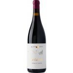 Zlaty Roh Pinot Noir 2021 Červené 13,7% 0,75 l (holá láhev) – Hledejceny.cz