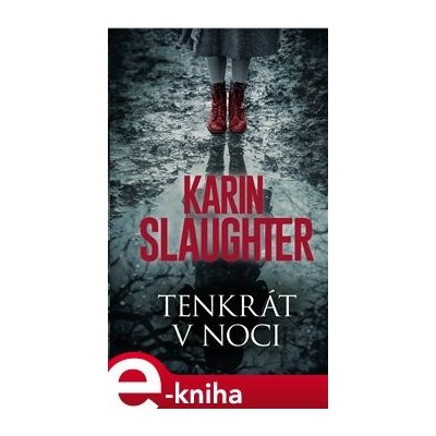Tenkrát v noci - Karin Slaughter – Hledejceny.cz