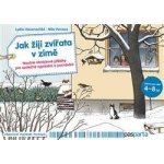 Jak žijí zvířata v zimě - Naučné obrázkové příběhy pro společné vyprávění a poznávání - kolektiv – Hledejceny.cz