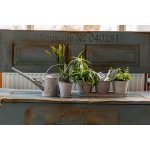 Esschert Design 1,6 l pozink – Hledejceny.cz