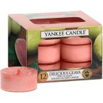 Yankee Candle Delicious Guava 12 x 9,8 g – Zbozi.Blesk.cz