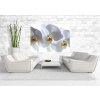 Tapety AG Design FTSS-0832 Papírová fototapeta White Orchid rozměry 180 x 127 cm