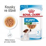 Royal Canin Mini Puppy 12 x 85 g – Hledejceny.cz