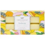 Greenleaf vonný vosk Sunbeam 73 g – Hledejceny.cz
