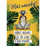 Albi Hrací přání k narozeninám - Lemur – Hledejceny.cz
