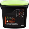 Krmivo a vitamíny pro koně Premin MSM pro zdravé klouby a šlachy 1 kg