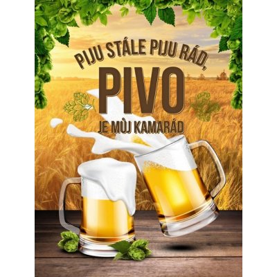 Postershop Plechová cedule: Pivo je můj kamarád - 30x40 cm – Zbozi.Blesk.cz