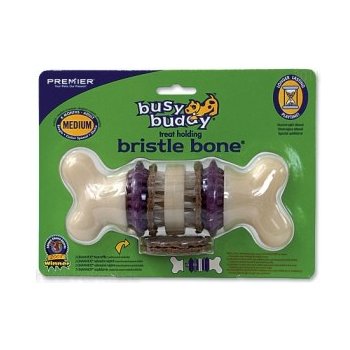 Premier Busy Buddy Bristle Bone S