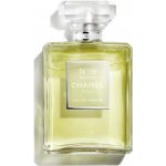 Chanel No.19 Poudré parfémovaná voda dámská 100 ml – Hledejceny.cz