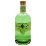 BASILICO ELIXIRUM APERITIVUM 0,5 l (holá láhev) – Sleviste.cz
