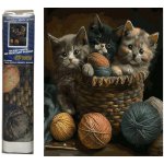 Norimpex Diamantové malování Koťata v košíku 30 x 40 cm – Hledejceny.cz