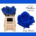 Modrá růže BLUE V.I.P 65cm (L) – Zboží Dáma