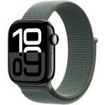 Apple Watch 42mm šalvějově zelený provlékací sportovní MDV04ZM/A – Zboží Živě