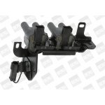 Zapalovací cívka BorgWarner (BERU) ZS483 – Hledejceny.cz