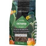 Lechuza CACTUSPON 3 l – Zboží Dáma