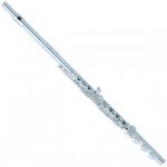 Pearl flutes PF F525RBE – Sleviste.cz