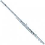 Pearl flutes PF F525RBE – Zboží Mobilmania