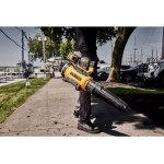 DeWalt DCMBL777X1 – Zboží Dáma
