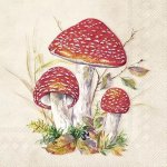 Ubrousek 33x33cm Krásné muchomůrky – Zboží Mobilmania