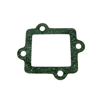 101_Octane Těsnění klapkového bloku Minarelli IP15647 | Zboží Auto