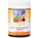 TCM Herbs Radost přicházejícího spánku 100 tablet – Hledejceny.cz