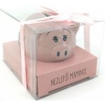 Albi Prasátko pro radost pokladnička Skvělé kamarádce 6 x 7,5 cm – Zboží Dáma